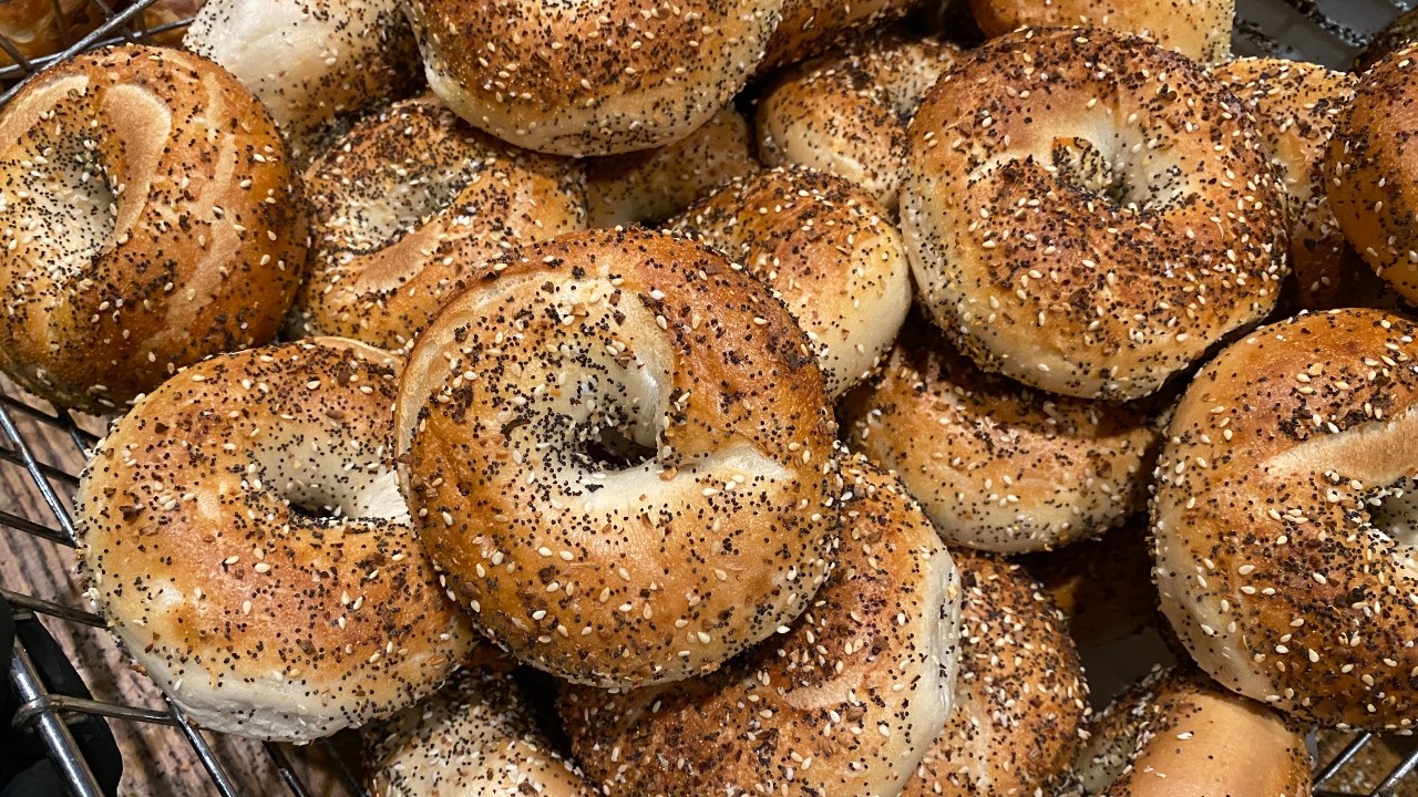 Shug's Bagels Mockingbird & 75 Bagel Box