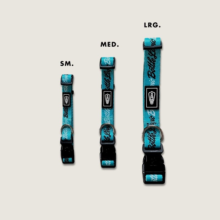 Dogs of Logic Collar - Teal