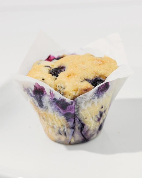 Blueberry Muffin