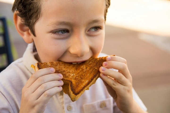 Kid's Grilled Cheese Sandwich