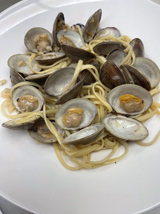 WHITE CLAMS L 8pc.