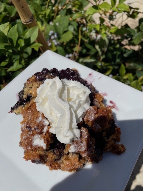 Blueberry Cobbler