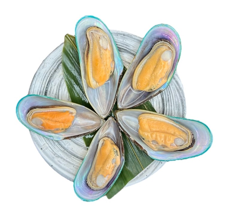 New Zealand Green Mussels (10 mussels)
