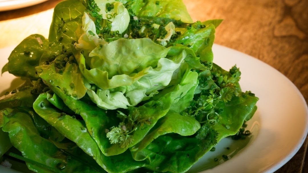 Bibb Lettuce Salad