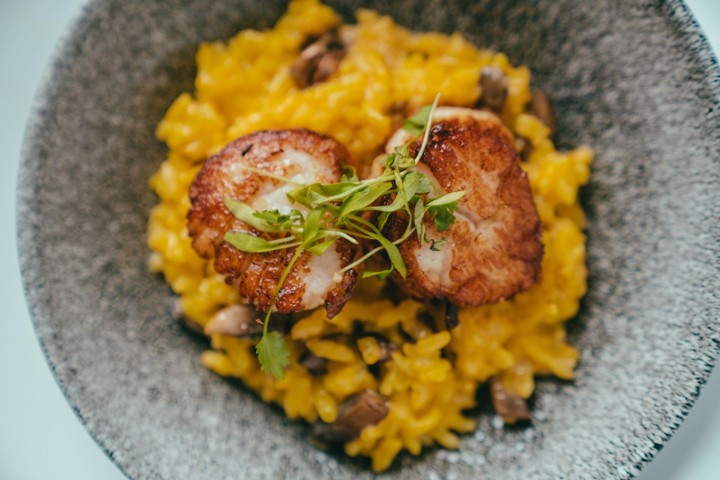 Scallops Risotto