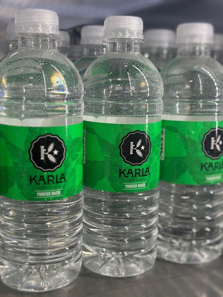 Karla Water Bottle