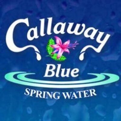 Callaway Blue Water Bottle