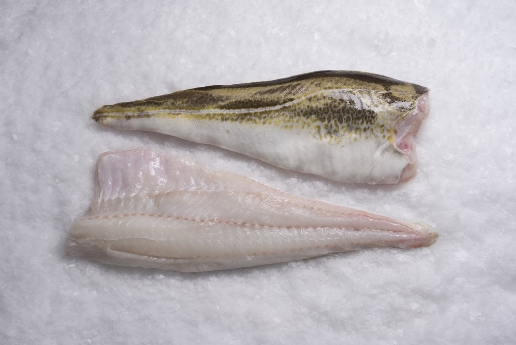 Frozen Atlantic Cod (1 lb.)