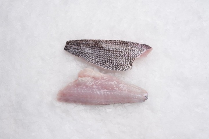 Frozen Black Bass