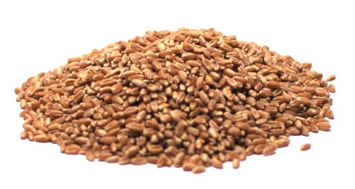 Wheat Berries - 1lb