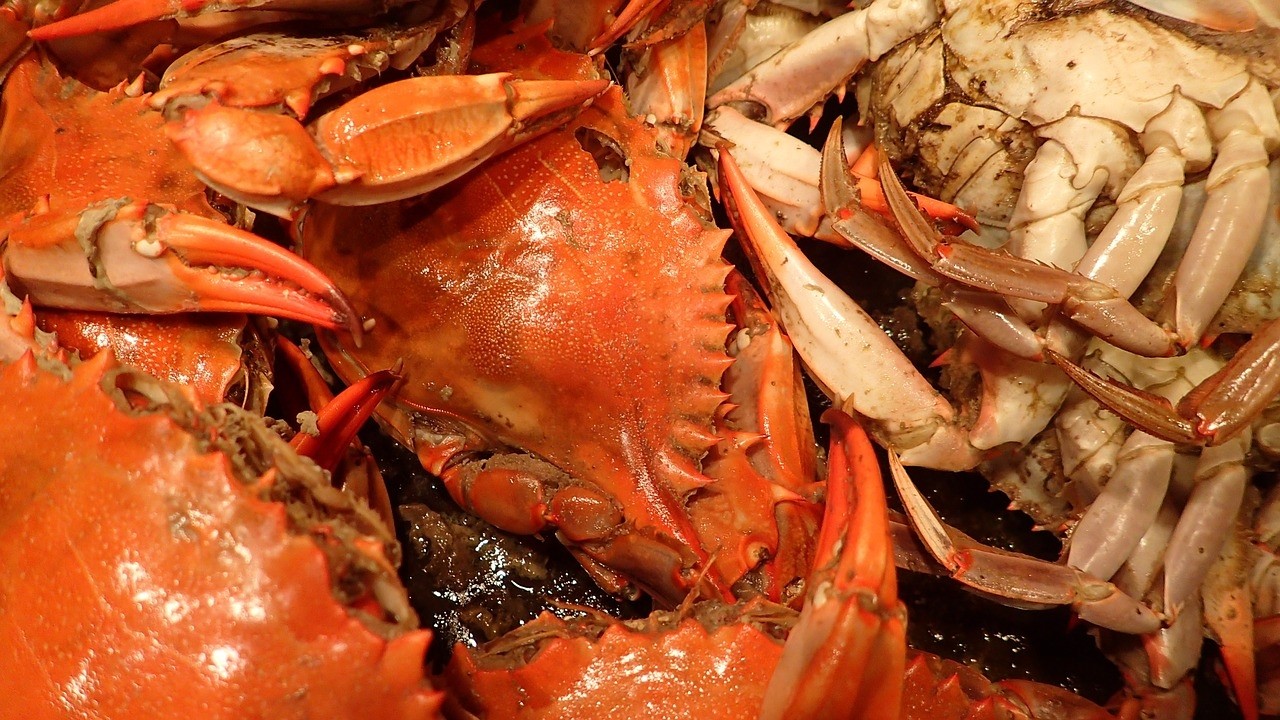Smashin Crab - Bandera