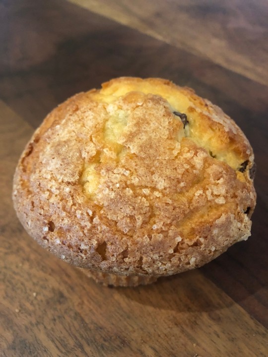 Choc Chip Muffin