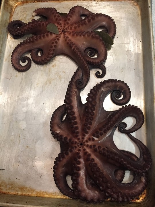 Octopus, Whole