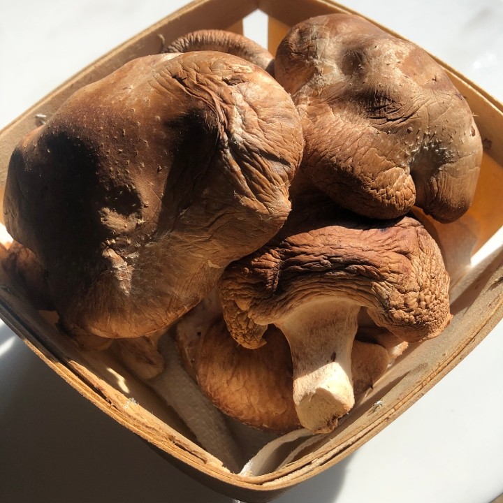 Shiitake Mushrooms