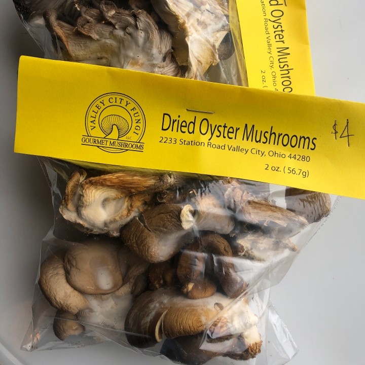 Dried Trail Mix Oyster Mushrooms 2 oz.