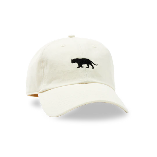 Dad hat - stone