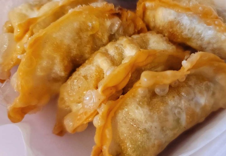 Vegetable Gyoza - A5