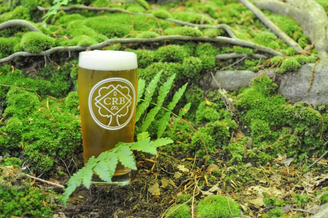 Coles Road Brewing - Prologue - Crowler 32oz