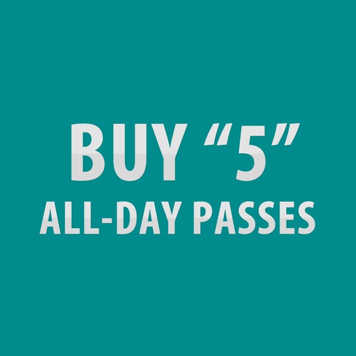 FIVE ALL DAY PASSES