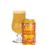 Ponzi (6-pack, 12oz cans)