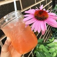 Fresh Pressed Strawberry Lemonade with local maple