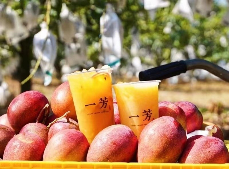 Mango Fruit Tea 芒果水果茶