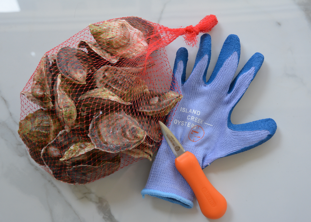 Shucking Gloves - Island Creek Oysters