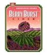 22 Wyder's Berry Burst Cider