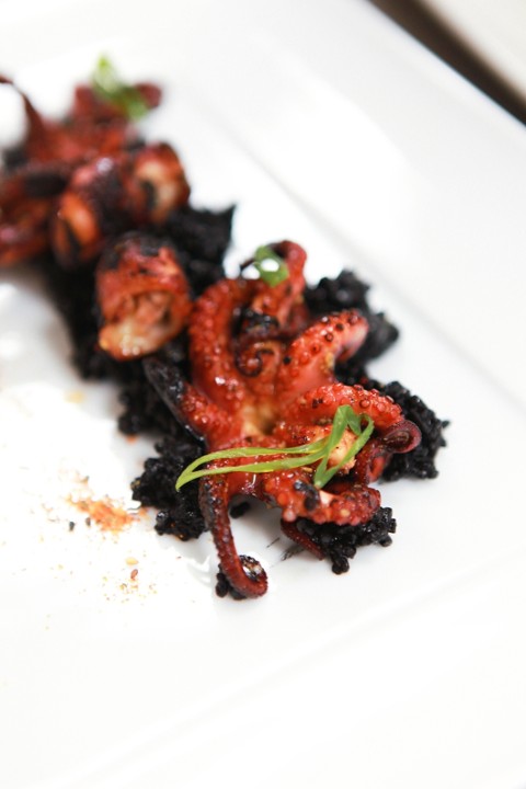 Grilled Octopus