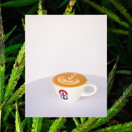 CBDreamsicle Espresso + Milk