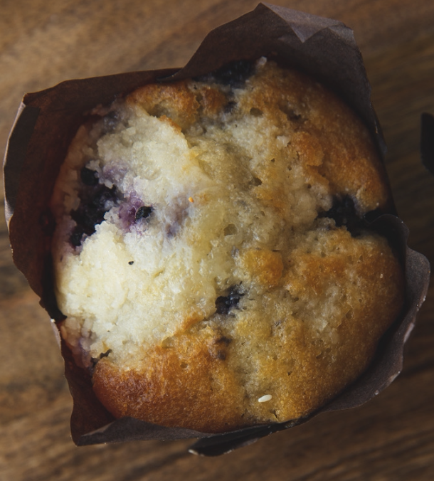 Blueberry Muffin