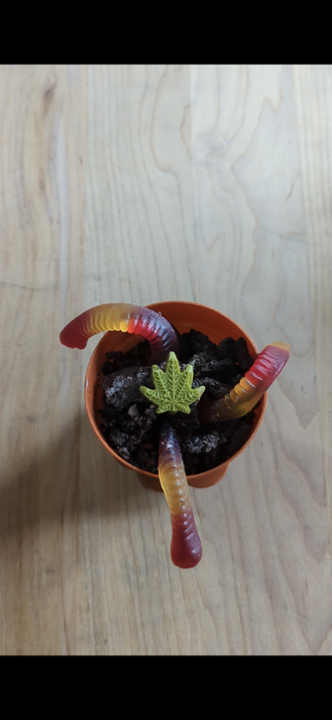 POT Brownie