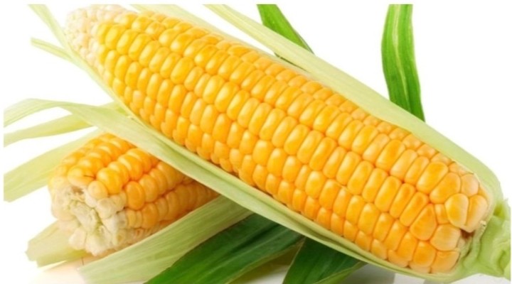 1 Corn On The Cob