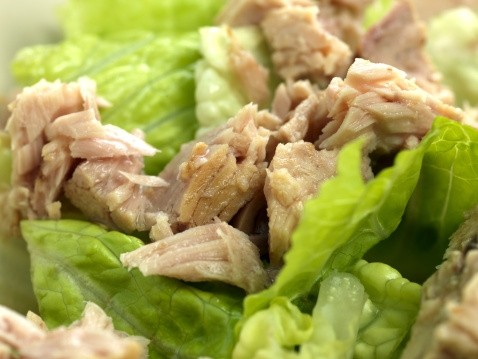 Tuna Salad