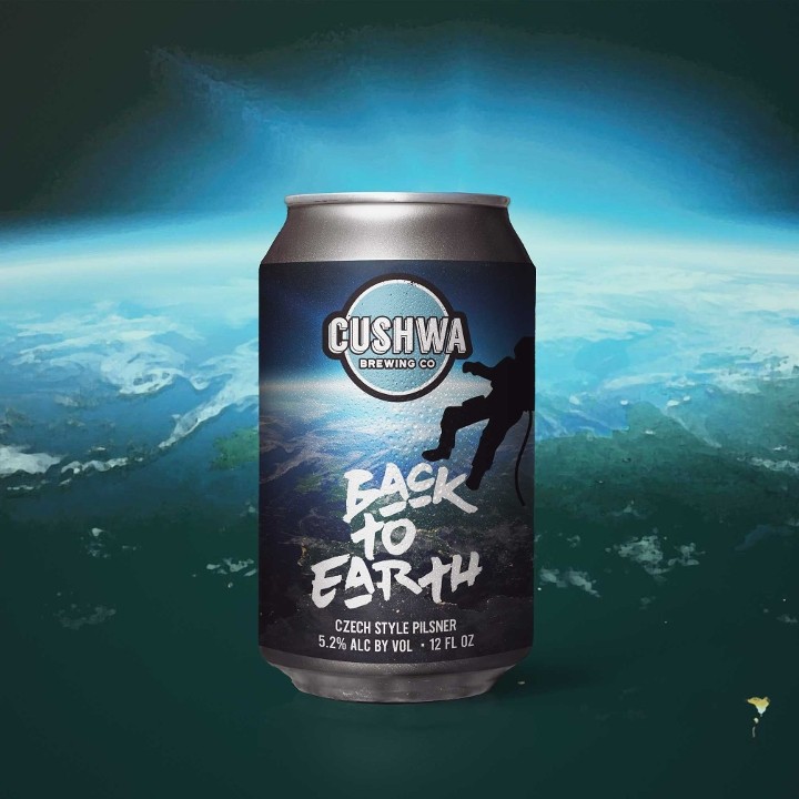 Back to Earth (6 Pack)