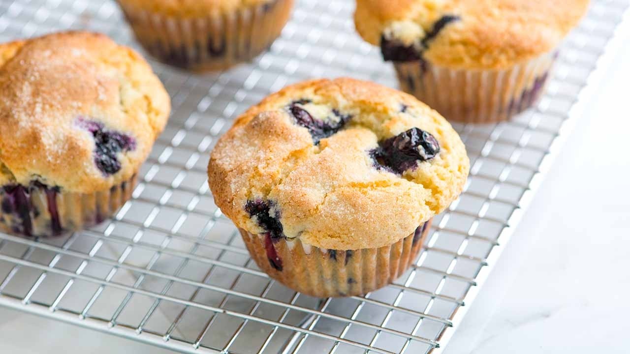 Blueberry Muffin