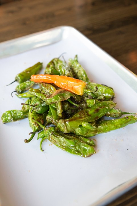 Charred Shishito Peppers