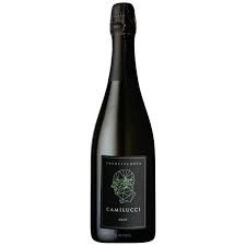 Camilucci "Ammonites" Franciacorta