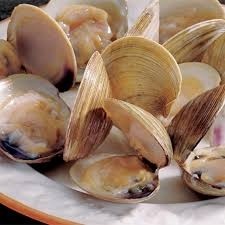 Littleneck Clams **MP**