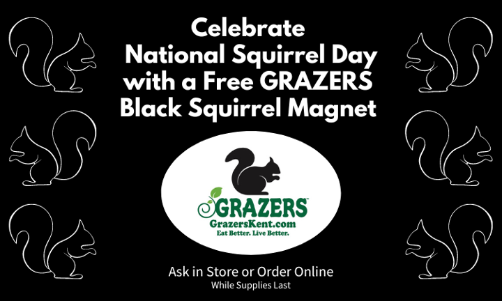FREE BLACK SQUIRREL GRAZERS MAGNET