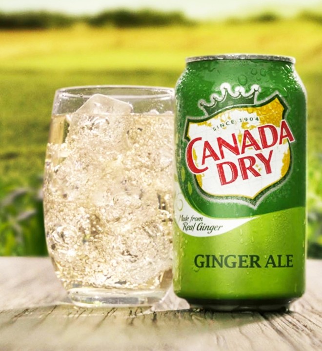 Ginger Ale 12oz