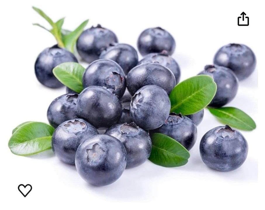 Blueberry Slush