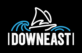 Downeast Cider Co - Cider (can)
