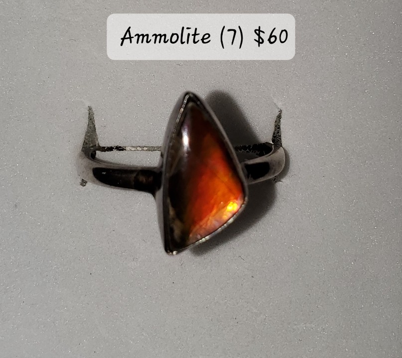 Ammolite Size 7