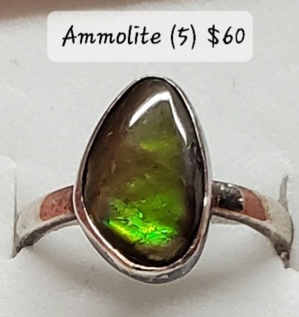 Ammolite Size 5