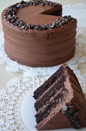 Chocolate Cake Slice