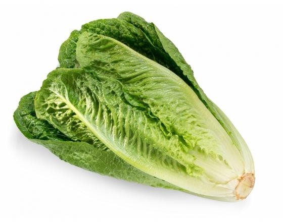 Romaine Lettuce Head