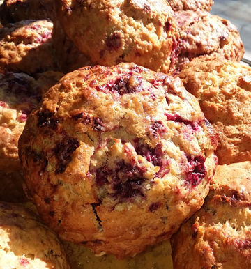 Mixed Berry Oatmeal Muffin