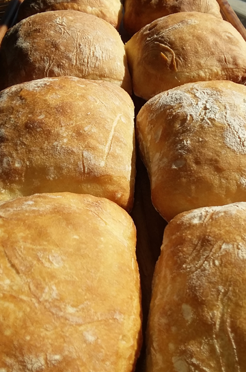 Ciabatta Roll (9:00 am)