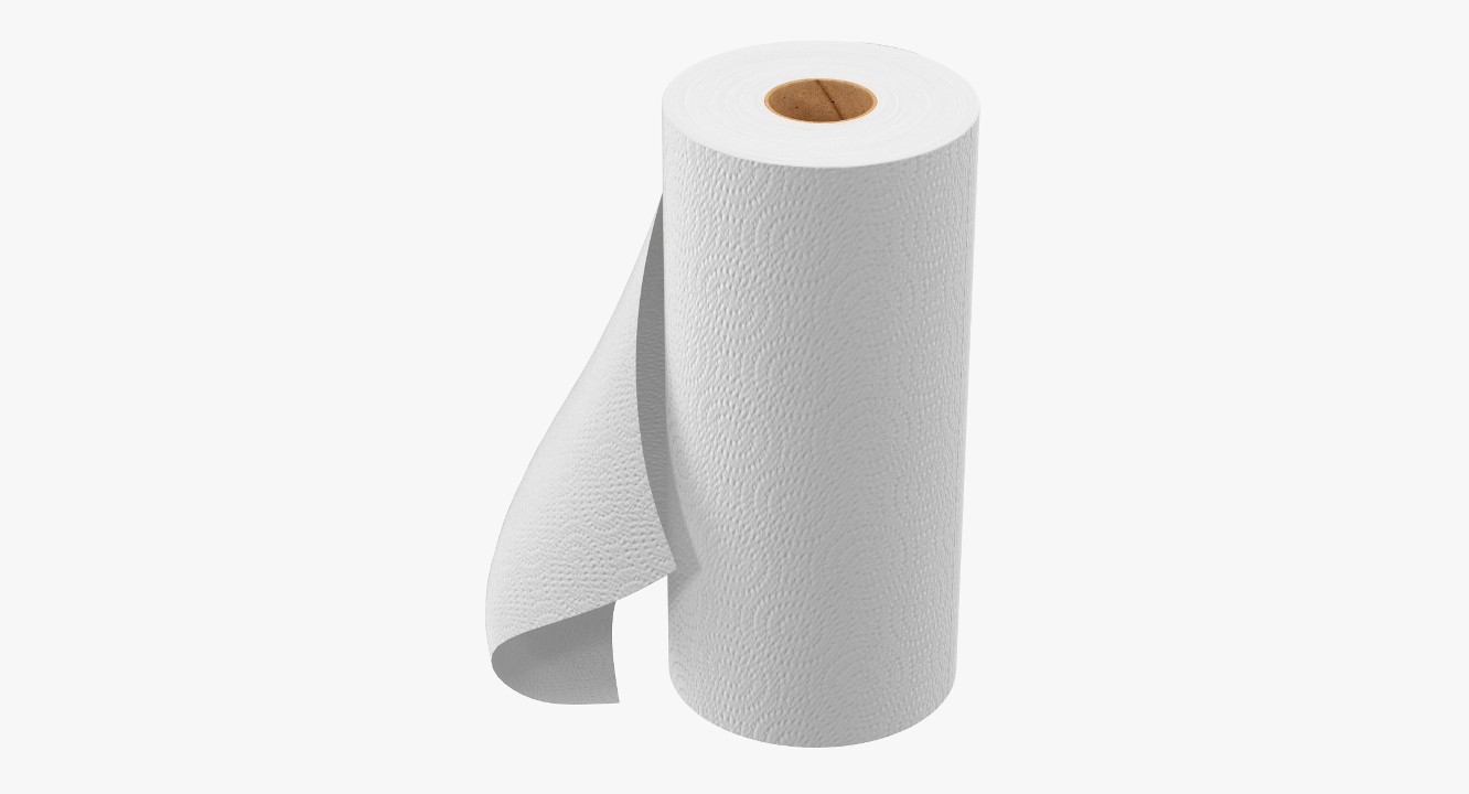 Paper Towel (Paper Goods)